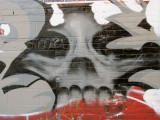 skull