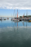 McCovey Cove