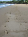 Playa Dorada Footprints