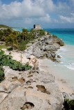 Iguana overlooking Tulum Ruins and Beach