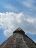 Palapa