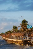 Ocean Maya Hotel Boardwalk