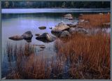 Rollins Pond,  Adirondack State Park,  NY