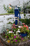 Adare