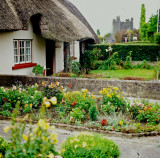 Adare