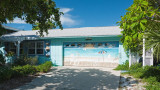 Garage Door Mural