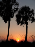 Sunset between 2 Palms
