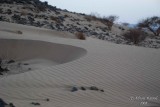 Sand patterns - 008.JPG