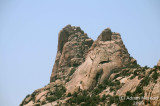 Ghazzal_263.jpg