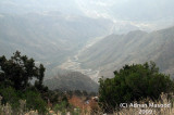 Abha_330.jpg