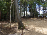 Corral-04.jpg