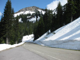 Mount Rainer National Park