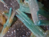 Cerussite with chrysocolla on quartz, Force Crag Mine, Coledale, Cumbria.
