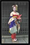 <b> Geisha image 028</b>