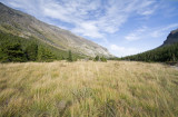 Glacier National Park