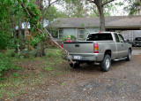 PULLING DOWN BROKEN BRANCHES AND VINES WITH A PICKUP TRUCK