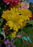 EASTER FLOWERS - ISO 80