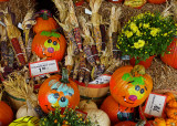 PUMPKINS WITH PERSONALITY  -  ISO 80  -  VIVID COLOR MODE