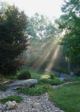 MORNING SUN - CREPUSCULAR RAYS  -  ISO 100