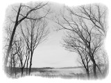 HEAVY GROUND FOG IN THE MILLS RIVER VALLEY  -  ISO 80