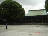 the temple
