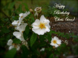 Happy Birthday Chris ~ November 12th 2007