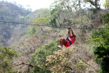 Flying through the Trees