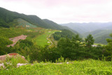 High 1 Golf Course - The highest located course in Korea