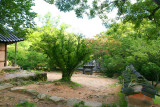 Sosweawon Garden 13.jpg