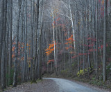 Autumn Road at Dusk