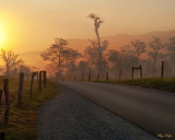 Loop Road at Sunup