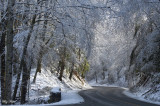 Park Road near Crib Gap