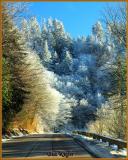 Roadway Beneath Newfound Gap