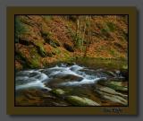 Cove Creek above the Cascades