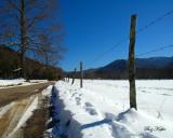 Loop Road - Cades Cove