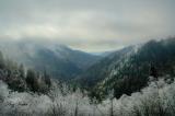 Valley of the Little Pigeon