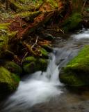 By the Grotto Falls Trail