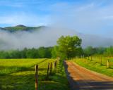 Fog Rising