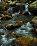 Spring Runoff