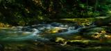 Cove Creek Pano
