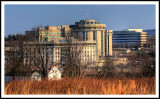 Convention Center Rising from the Brush