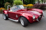 Cobra Extraordinaire