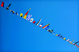 Flags Over Head