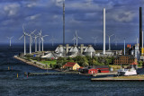 Going Green in a Blue Landscape