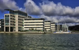_MG_4711.jpg
