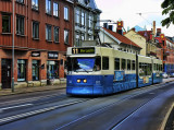 _MG_4784.jpg
