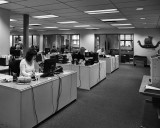 _MG_5127BW.jpg