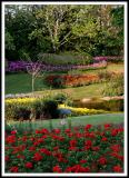 The Canadian Flower Garden - A Vertical View