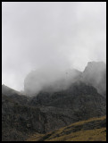 Condor near Yanama pass 1