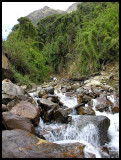 Totora tributary
